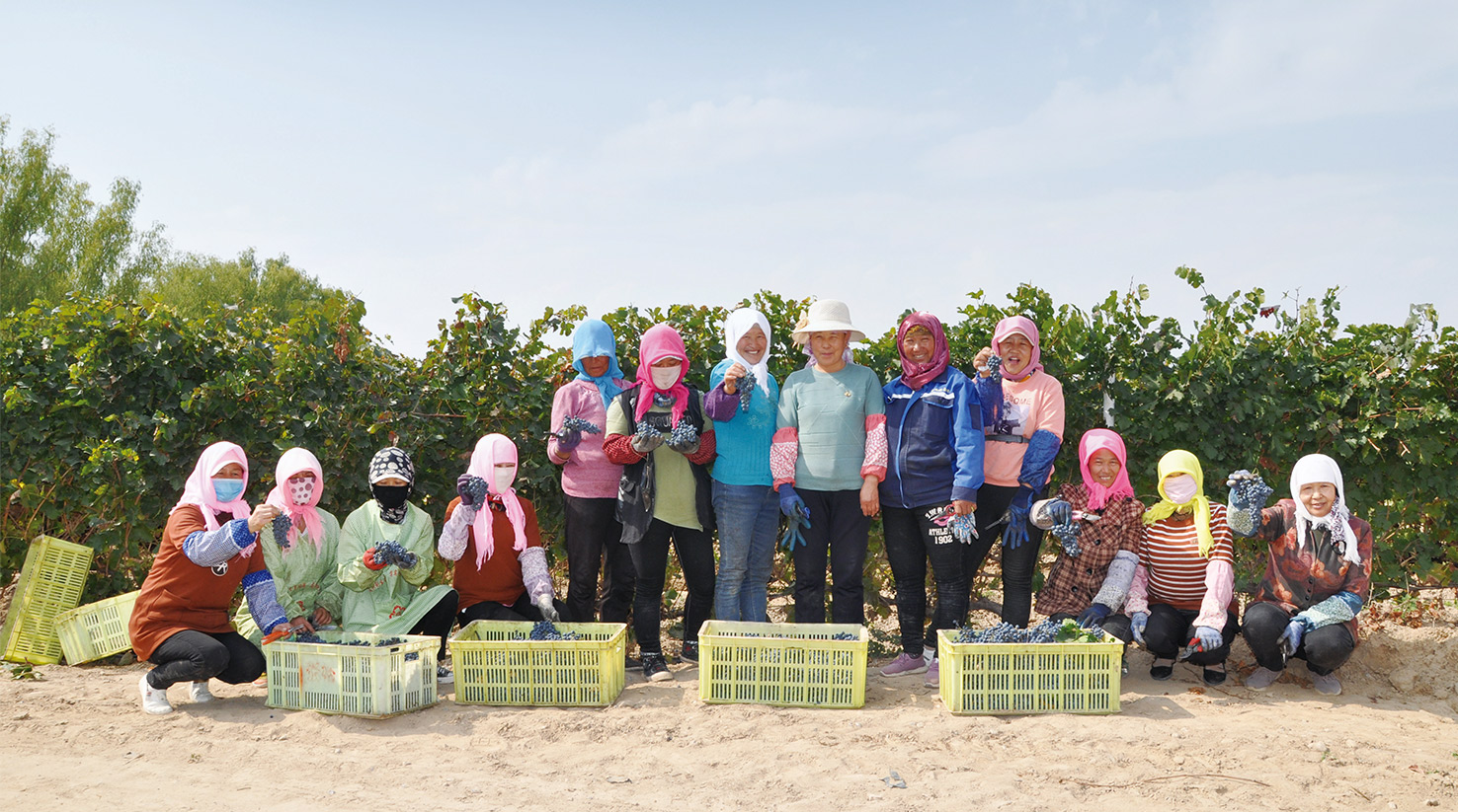 Increasing annual income for fruit growers by RMB 500 million, supporting rural revitalization