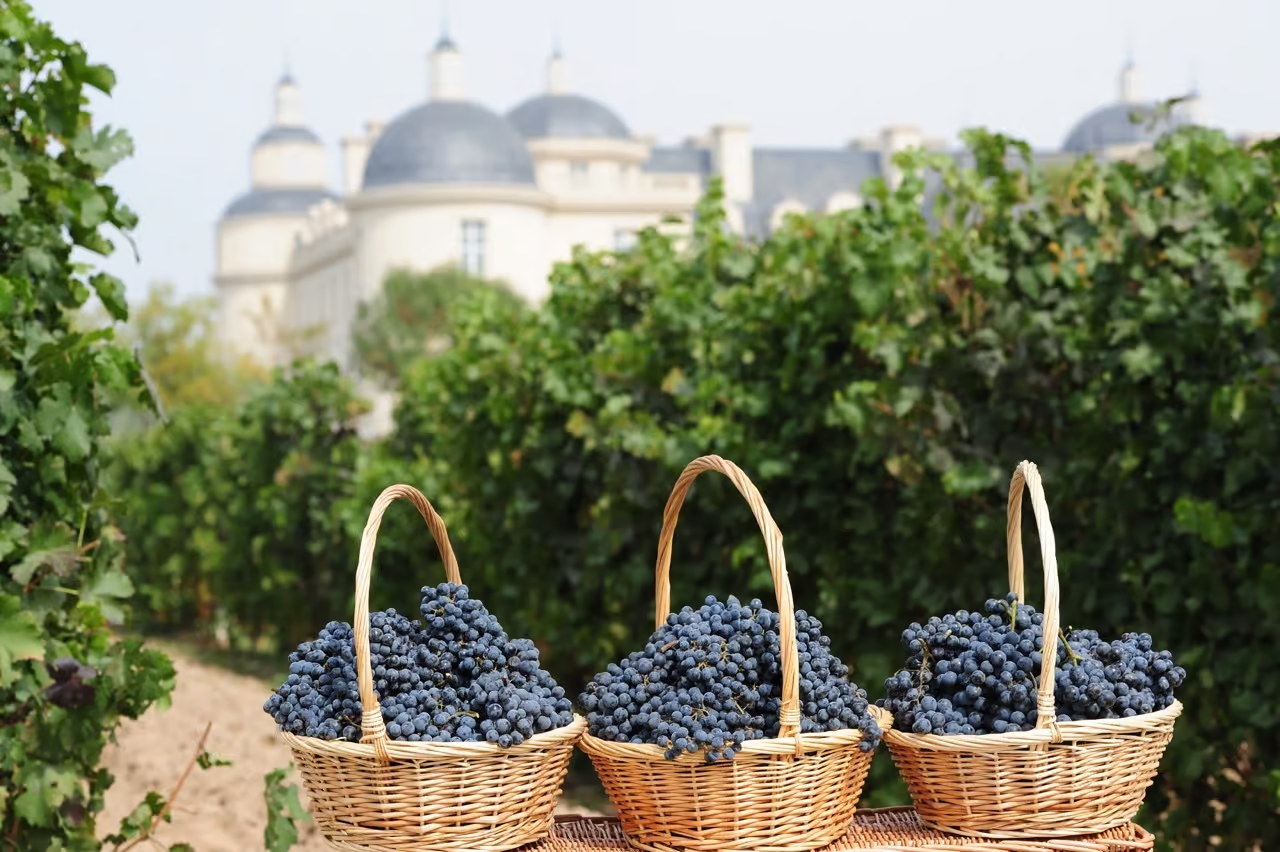 HARPERS | Lenz Moser: Chinese market on brink of upswing