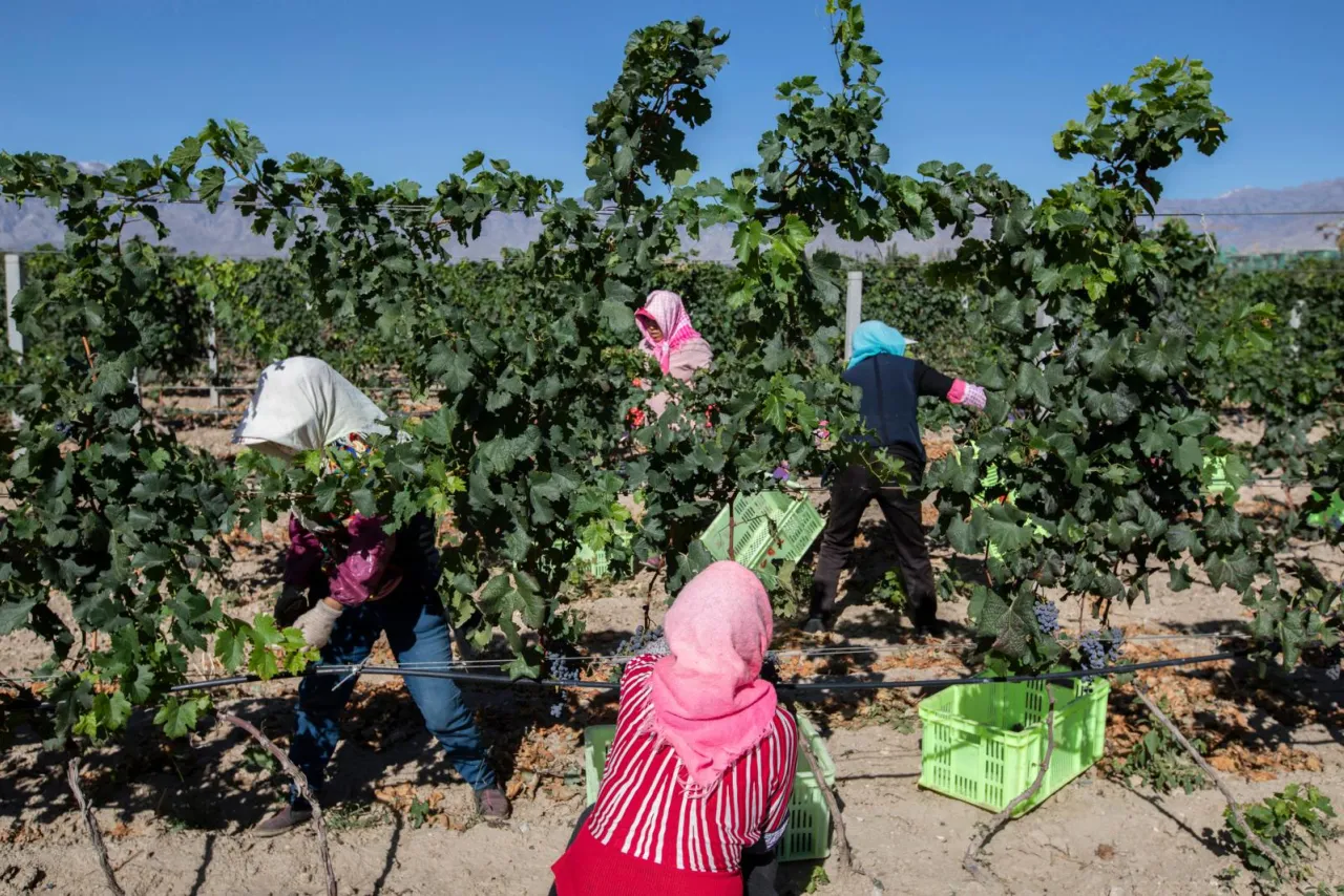 Private tasting at Taiwan Étterem in Budapest